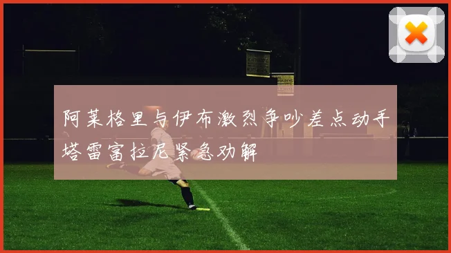 阿莱格里与伊布激烈争吵差点动手塔雷富拉尼紧急劝解